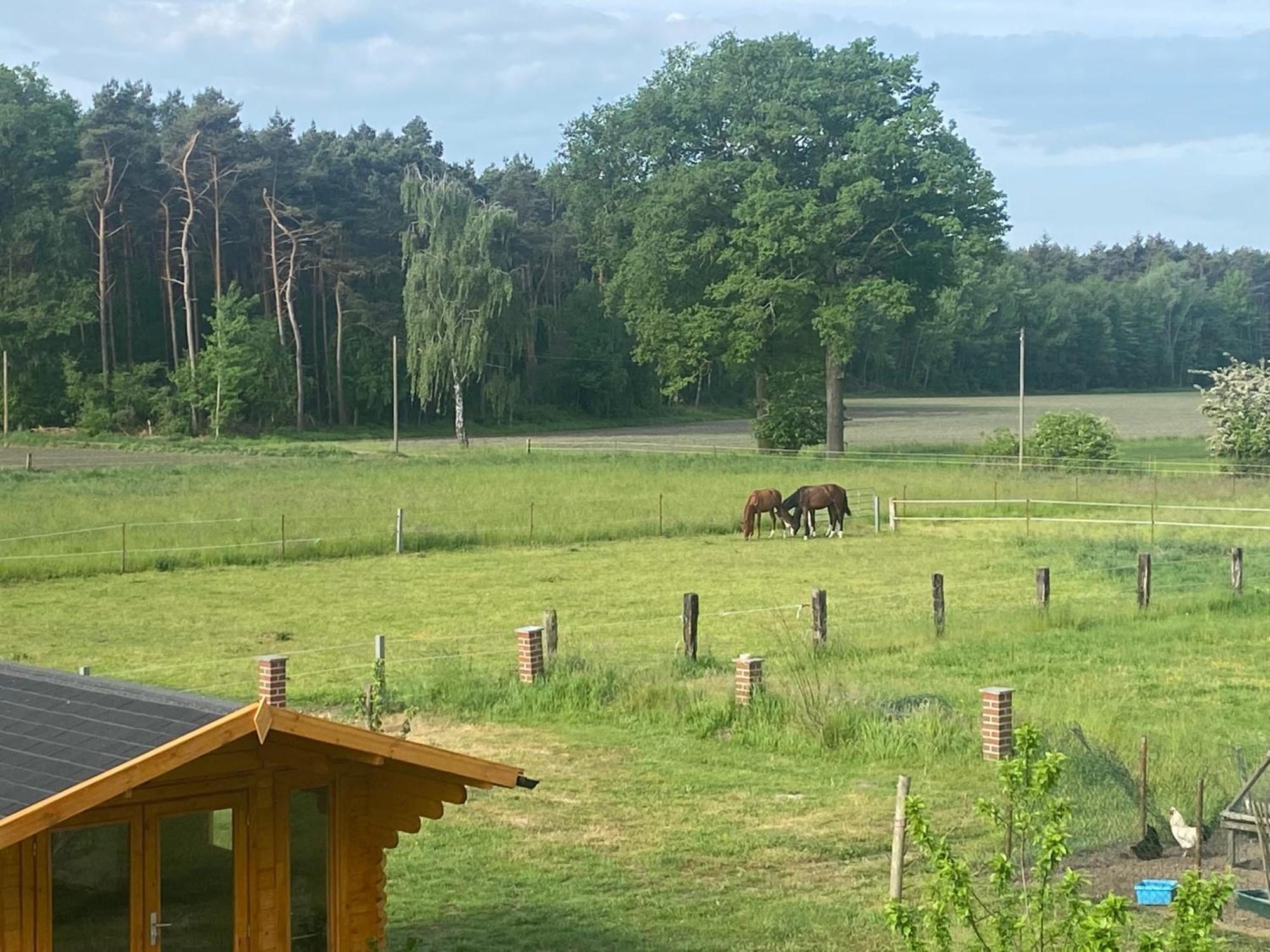 Wunderschoene Ferienwohnung Mit Balkon Auf Dem Bauernhof Greven Exterior foto