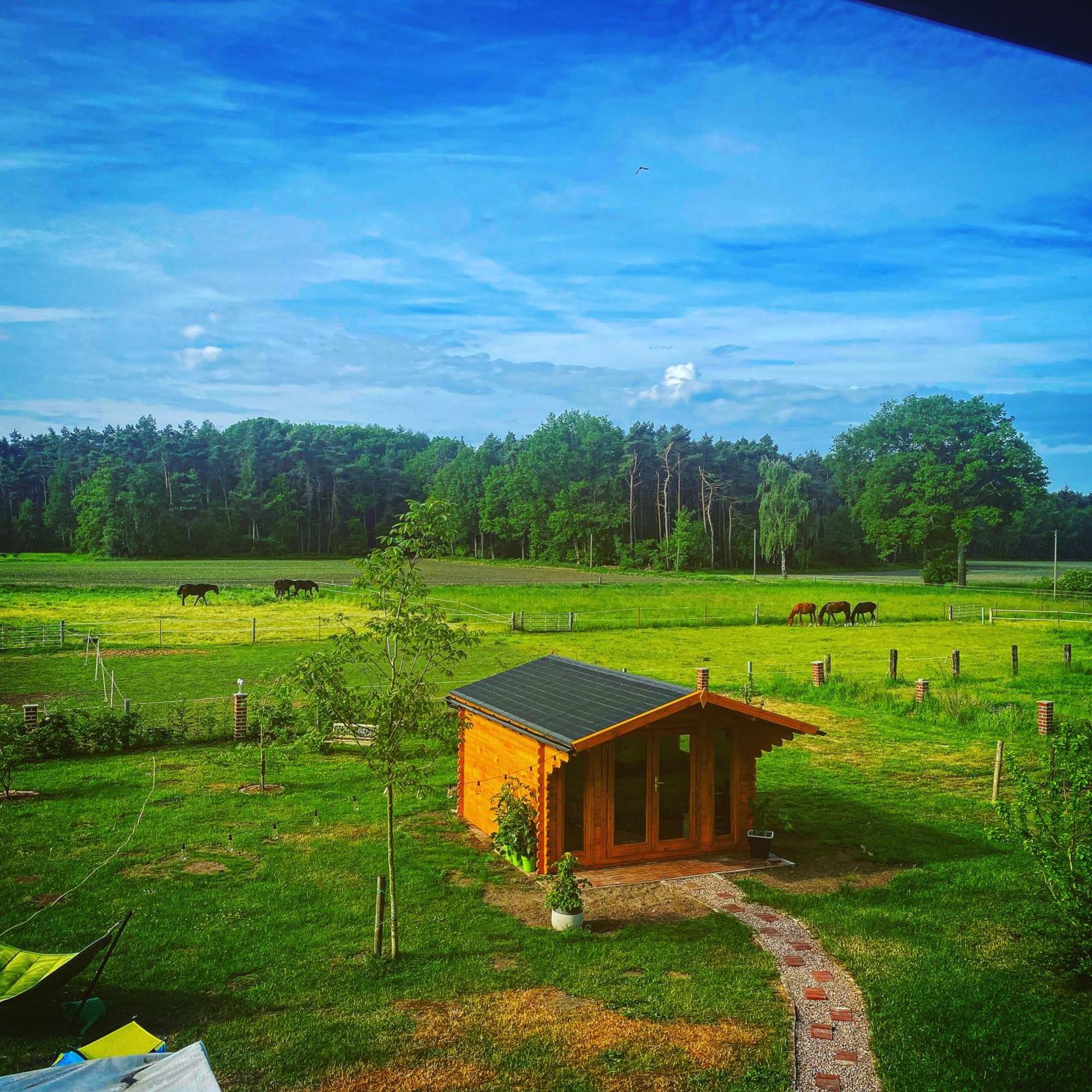 Wunderschoene Ferienwohnung Mit Balkon Auf Dem Bauernhof Greven Exterior foto